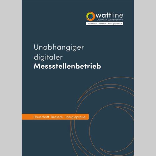 Auftrag Digitaler Messstellenbetrieb (MSB DE)